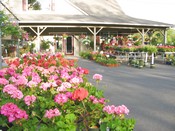 Country Gardens Garden Center