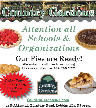 FundraiserPieAd