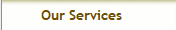Our Services